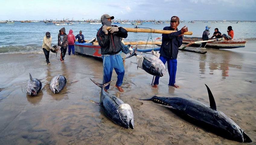 nelayan tangkap ikan