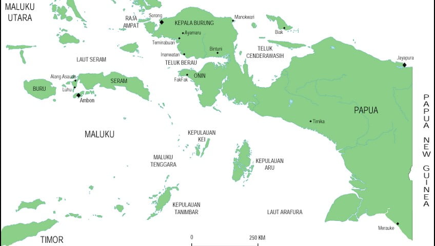 Perlancar Arus Logistik, Kemenhub Berikan Subsidi untuk Angkutan Barang di Papua